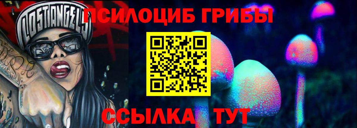 Галлюциногенные грибы MAGIC MUSHROOMS  Вход с VPN  Кызыл 